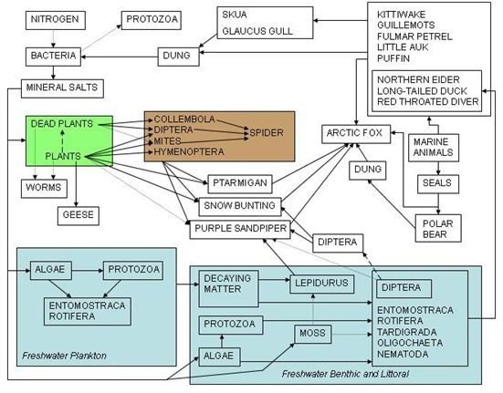 Water Usage and Pollution