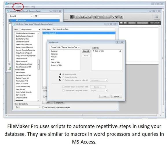 filemaker pro text editor