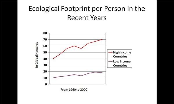 How to Measure and Reduce Ecological Footprint