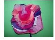 Tissue paper flowers thumbnail-1