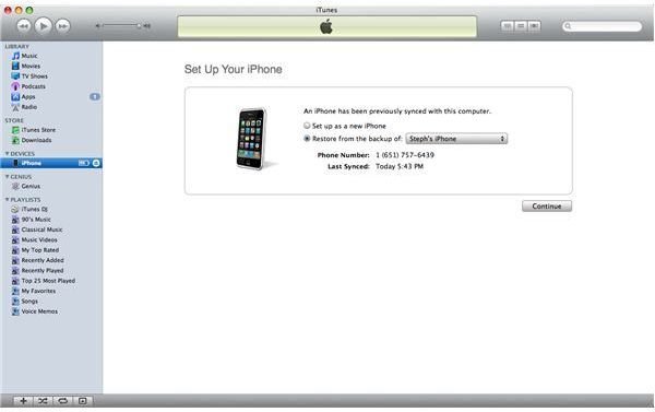 Set Up Your iPhone