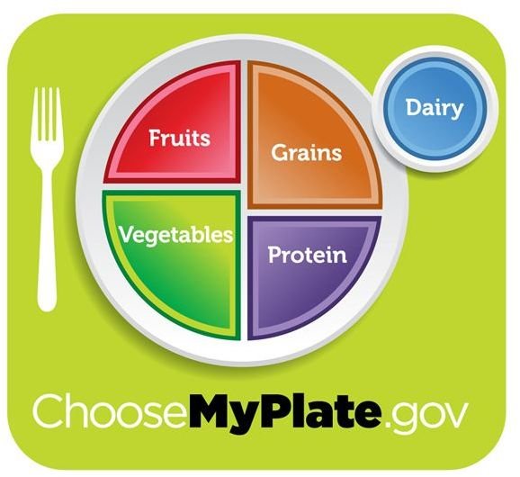 Create Your Own Person Food Guide Plate: A Fun Food Guide My Plate Lesson Plan