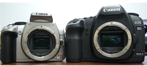 What is the Difference Between a Full Frame Digital Camera and a Cropped Sensor Digital Camera?