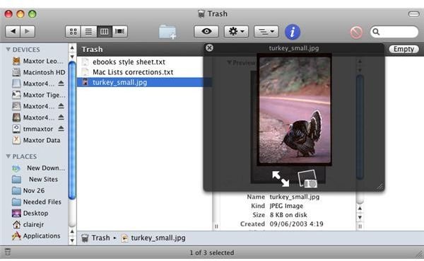 trash it app for mac