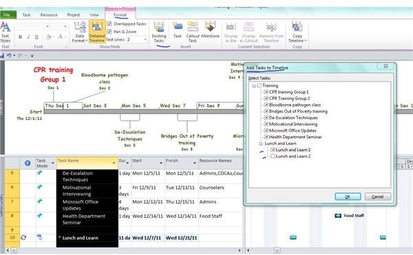 how to add timeline to ms project 2010