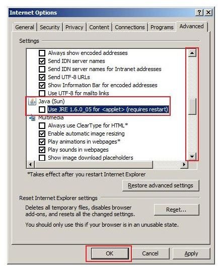 enabling javascript internet explorer 8