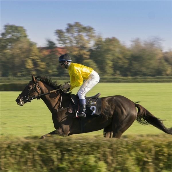 Jockey on horse