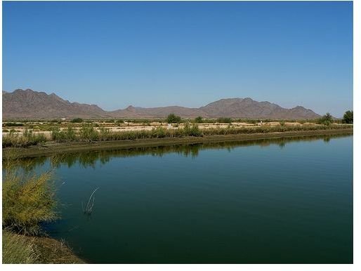 Desert Sugarcane Best Hope for Sweet Biofuels from American West