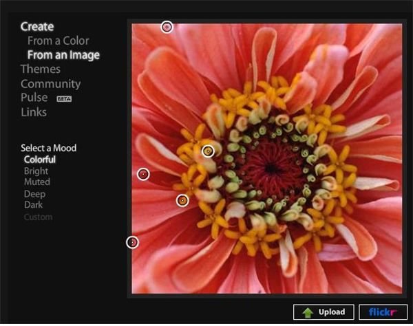 Kuler Photo Interface