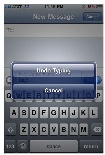 Undo typing - iPhone