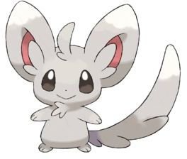 Minccino