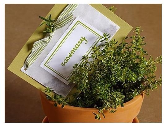 Herb Party Favors - Credit barillaus.com