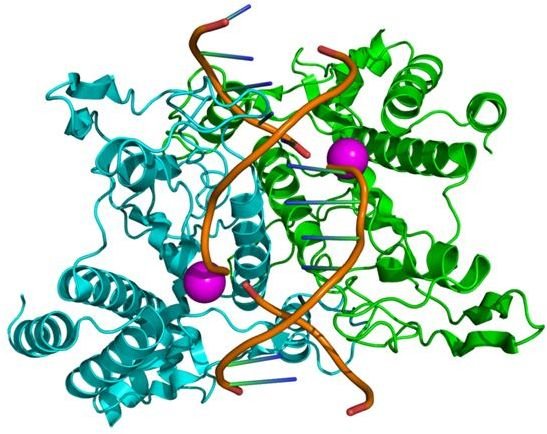 Zinc Finger Domains and New Types of Genetics