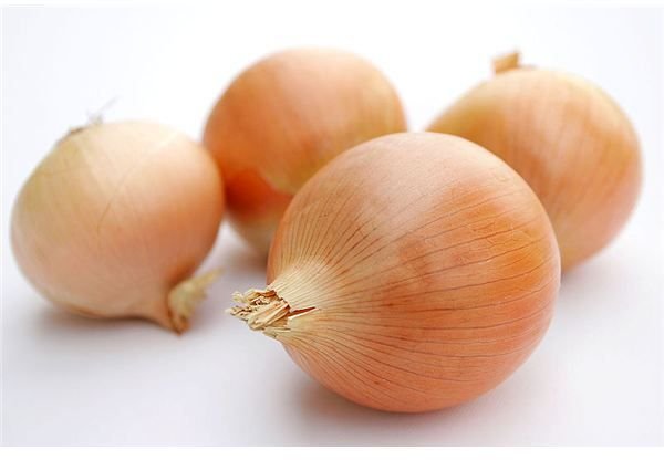 Growing Organic Onions:  Soil Preparation, Planting and Harvesting Tips