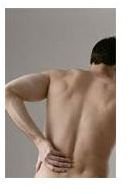 Best Herbs for Back Relief: External and Internal Remedies for Back Pain