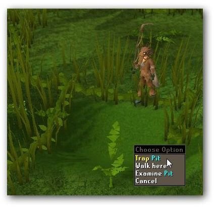 Tips for Pitfall Trapping - A Runescape Hunting Method