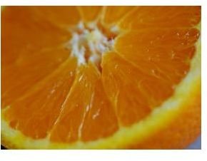 How You Can Benefit from an Ascorbic Acid Flush?