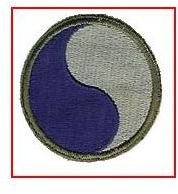 29th Infantry Division Patch