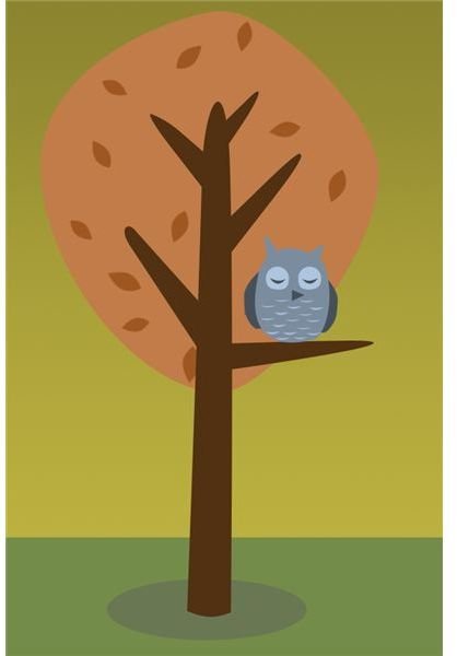 Owl in a Tree by Amber Neely