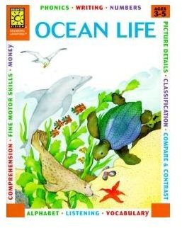 Ocean Life - Brighter Vision