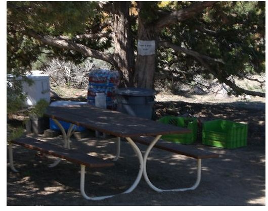 Original Picnic Table