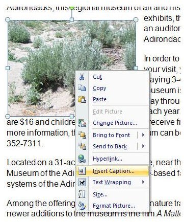 How to Add a Caption to an Image in a Microsoft Word 2007 Document