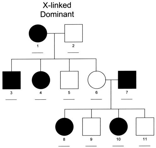 X-linkedDominantOnly1
