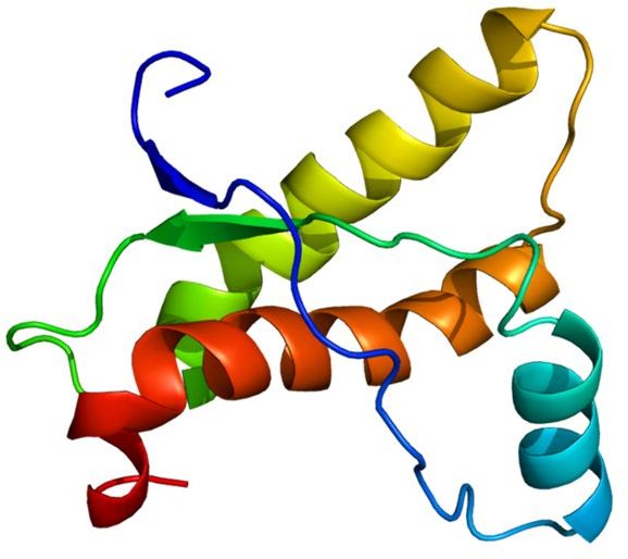 The Prion Protein (PRNP PDB 1ag2)