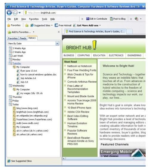 Expanded Internet Explorer History view