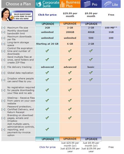 Figure 2 - YouSendIt.com Subscription Levels