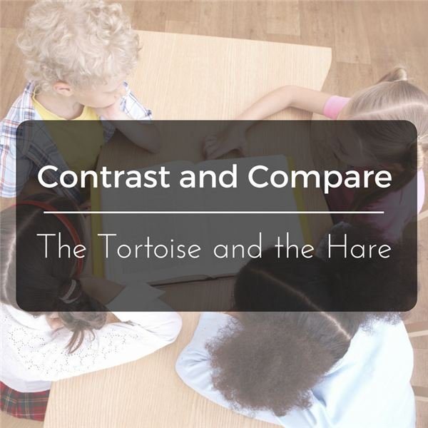 Grade 2 Compare and Contrast Lesson Plan: the Tortoise and the Hare