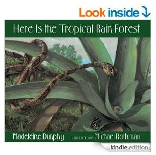 Rainforest Unit Books for Classroom  Use