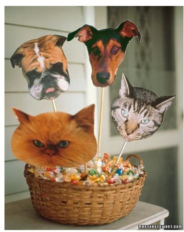 Pet Party: Preschool Pet Art Projects