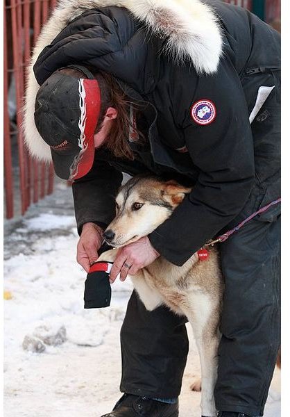 Lead Musher Lance Mackey