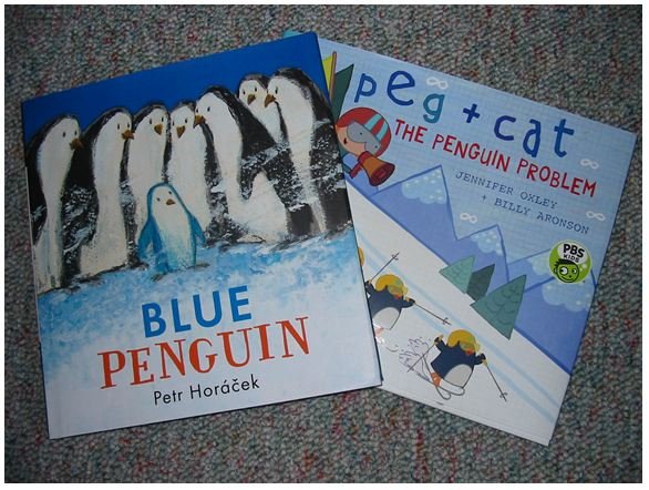 Little Blue Penguin Facts: Lesson for Kids - Video & Lesson