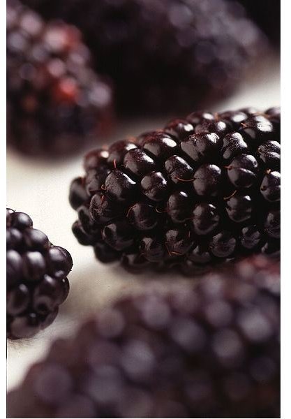 Health Benefits of Blackberries | Blackberry Smoothie Recipe