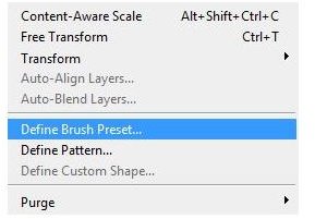 Define Brush Preset