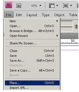 InDesign Publishing Tip: Adding a Video Clip to InDesign CS4