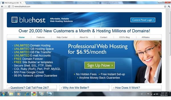 BlueHost&rsquo;s Website