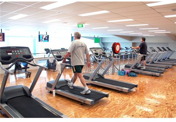 https://images.google.com/imgres?imgurl=https://upload.wikimedia.org/wikipedia/commons/2/26/Gym_Cardio_Area.jpg&imgrefurl=https://commons.wikimedia.org/wiki/File:Gym_Cardio_Area.jpg&usg=__33QGK_hTcXShB5AXbEajGJCbJX8=&h=681&w=1024&sz=732&hl=en&start=0&zoom=1&tbnid=6Hw1m7lx_PaZYM:&tbnh=142&tbnw=189&ei=dyFgTfDsB4L-8AbNzfXcCw&prev=/images%3Fq%3Dcardio%26hl%3Den%26biw%3D1596%26bih%3D664%26tbs%3Disch:1,iur:f&itbs=1&iact=rc&dur=125&oei=dyFgTfDsB4L-8AbNzfXcCw&page=1&ndsp=26&ved=1t:429,r:0,s:0&tx=53&ty=65