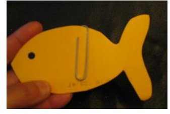 Paper clip attached to fish