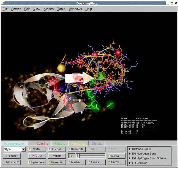 Molecular Modeling: Docking