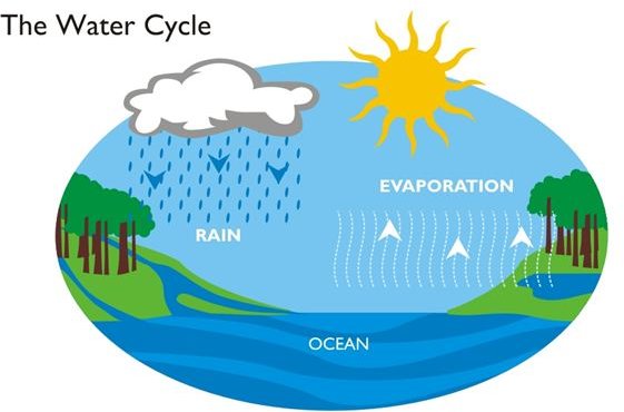 thewatercycle图片