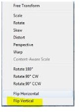 Flip Vertical