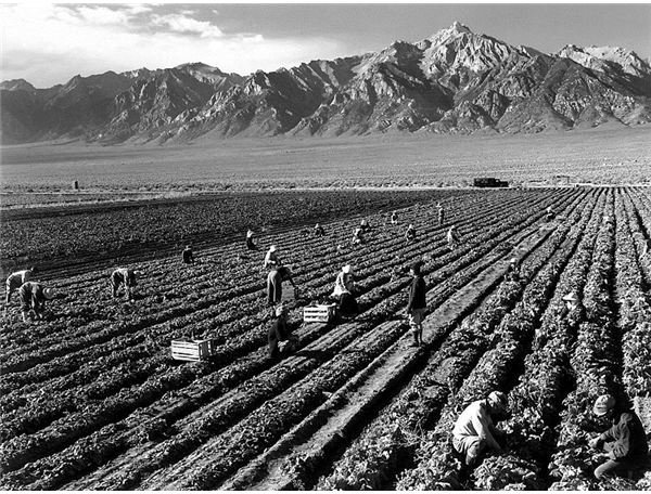 Farm Workers and Mt. Williamson