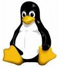 Establishing a VPN with Linux - Ubuntu