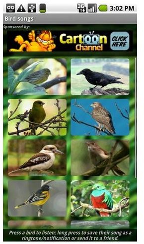Bird songs-bird calls-birdcalls-bird songs-pics