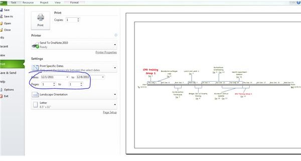 ms project timeline date range