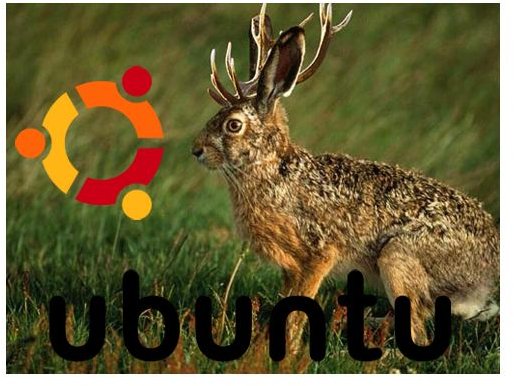 New Ubuntu Version Released Jaunty Jackalope 9.04