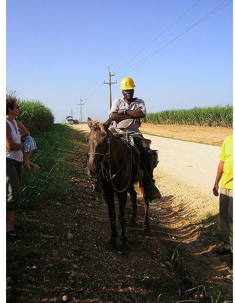 450px-Supervisor by horse.jpg A supervisor for the farm workers on the sugar cane fields